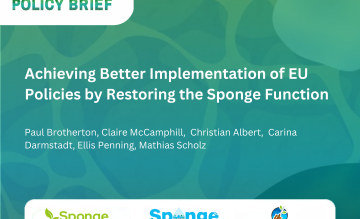 New policy brief outlines how EU policies can better support sponge restoration