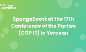 SpongeBoost at the 17th Conference of the Parties (COP 17) in Yerevan
