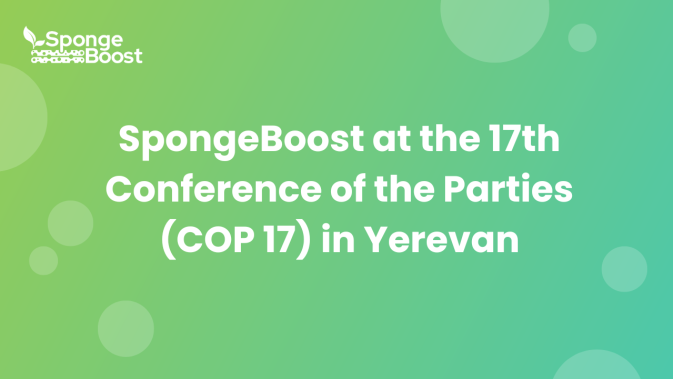 SpongeBoost at the 17th Conference of the Parties (COP 17) in Yerevan