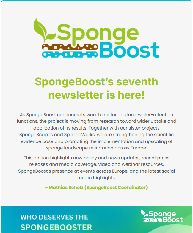 SpongeBoost Newsletter, October 2026 newsletter cover