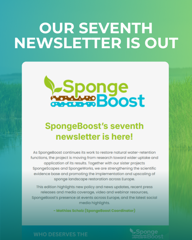 SpongeBoost’s seventh newsletter is here!