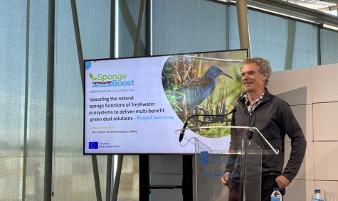 SpongeBoost at the "Co-creating Pathways for Wetland Restoration" conference